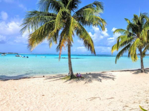 MOOREA - Tropical Soul, Hauru